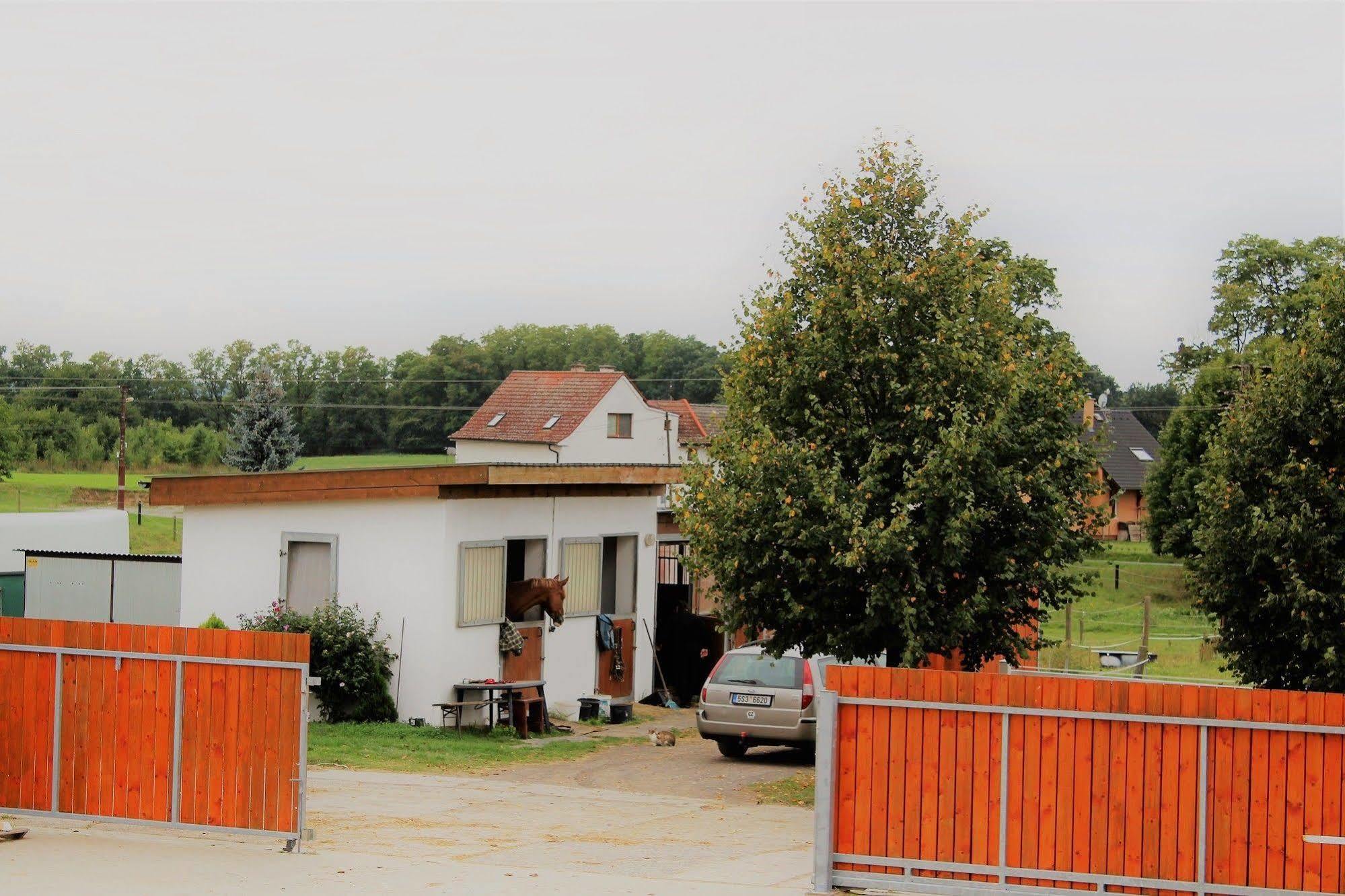 Farma Ptyrov